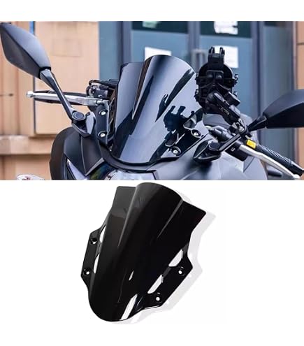 Amazon | Puig 9722F RACING SCREEN [DARK SMOKE] GSX250R (17-21